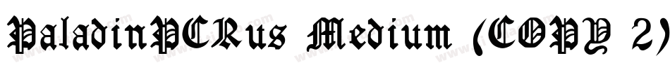 PaladinPCRus Medium (COPY 2)字体转换